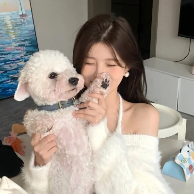 冰球小王子